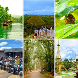 Explore the wonders and historic spots of Bohol with our affordable Bohol Country Side tour package that suit your needs