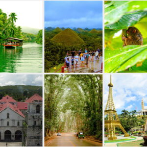 Explore the wonders and historic spots of Bohol with our affordable Bohol Country Side tour package that suit your needs