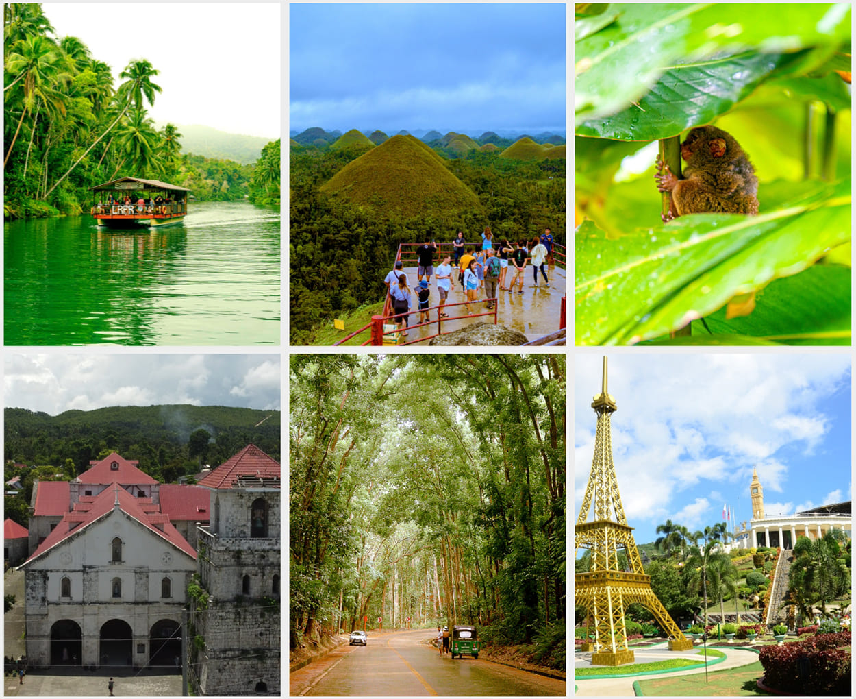 Explore the wonders and historic spots of Bohol with our affordable Bohol Country Side tour package that suit your needs