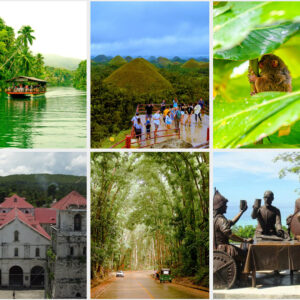 Explore the wonders and historic spots of Bohol with our affordable Bohol Country Side tour package that suit your needs