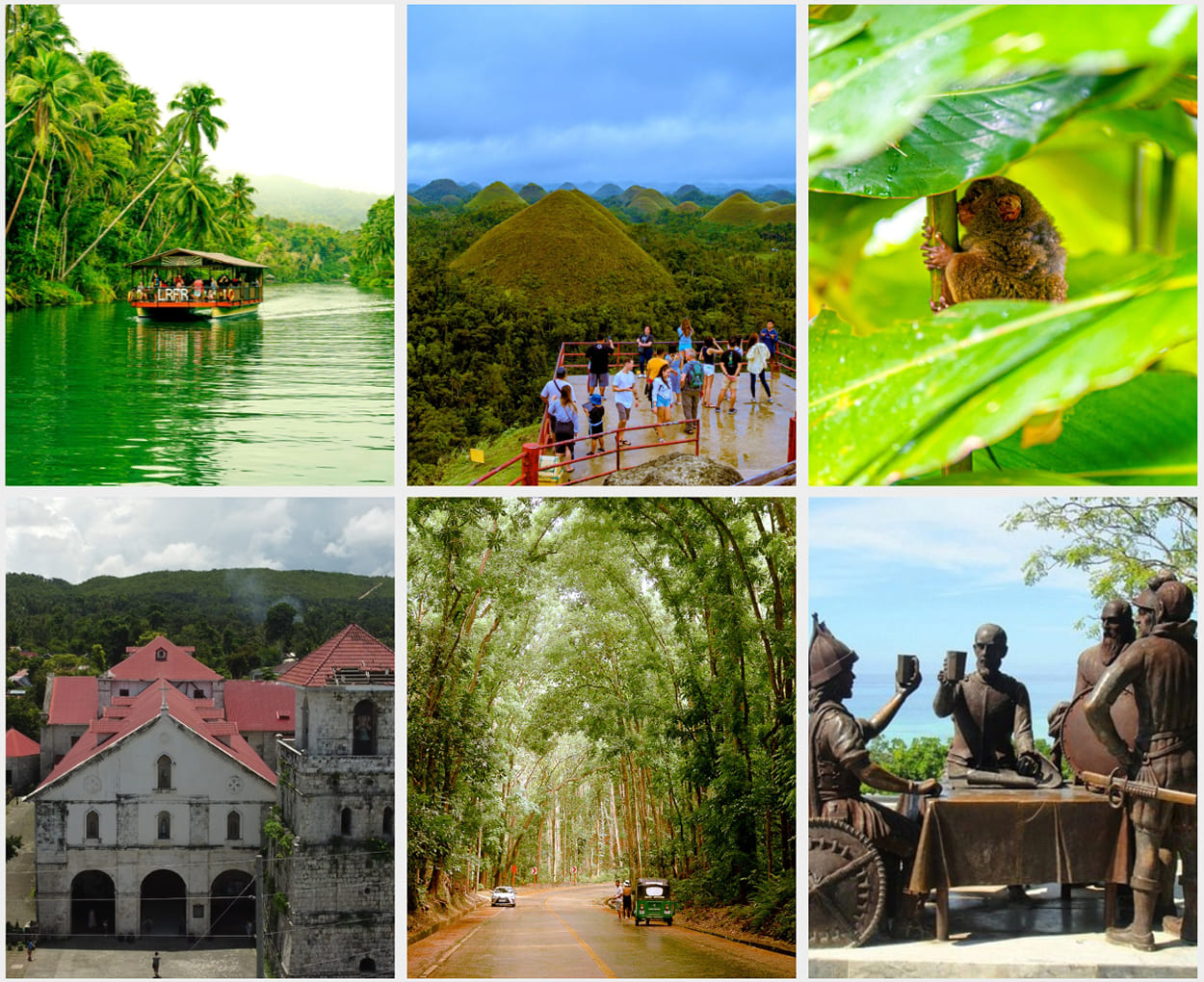 Explore the wonders and historic spots of Bohol with our affordable Bohol Country Side tour package that suit your needs