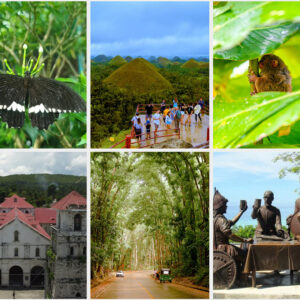 Explore the wonders and historic spots of Bohol with our affordable Bohol Country Side tour package that suit your needs