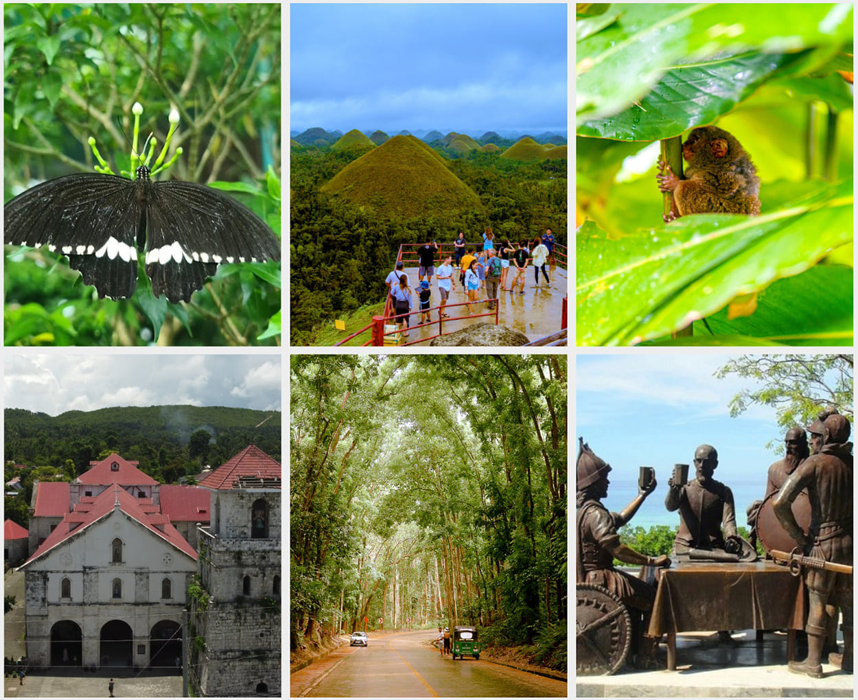 Explore the wonders and historic spots of Bohol with our affordable Bohol Country Side tour package that suit your needs